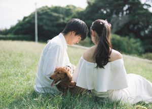 愛犬と一緒に芝生に座る新郎新婦の後ろ姿