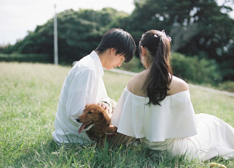 愛犬と一緒に芝生に座る新郎新婦の後ろ姿