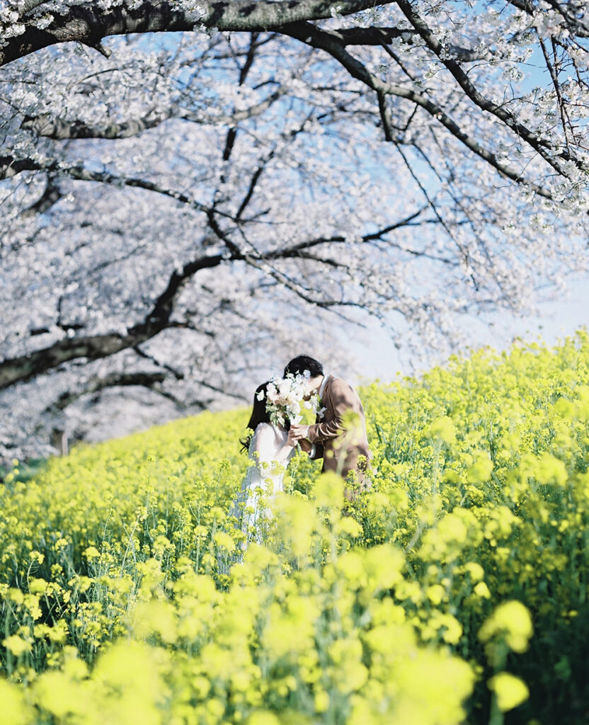 桜と菜の花に囲まれる新郎新婦