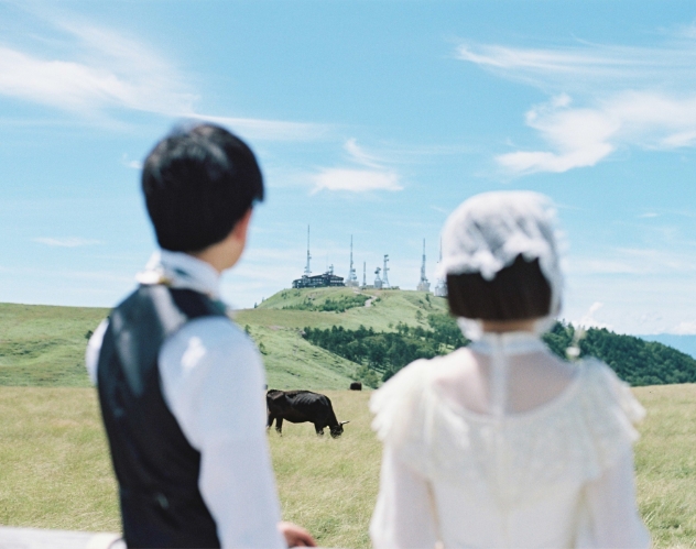 牧草地を眺める新郎新婦の後ろ姿