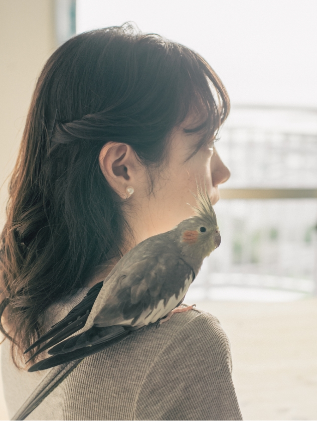 肩にオカメインコを乗せる女性