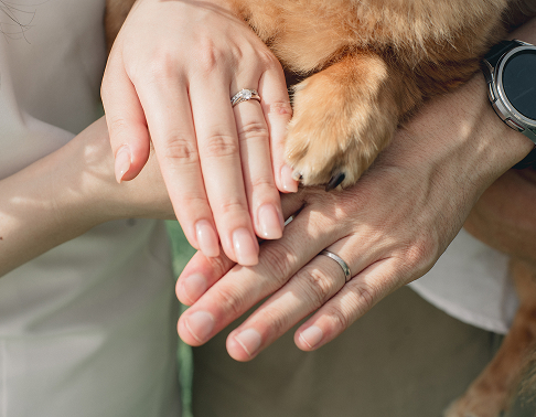 新郎新婦の手と愛犬の前足