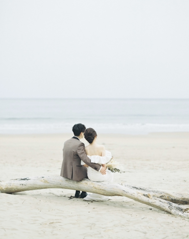 流木に腰掛ける新郎新婦